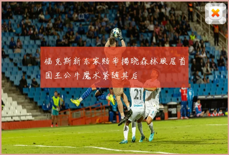福克斯新东家赔率揭晓森林狼居首国王公牛魔术紧随其后
