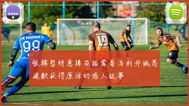 张稀哲特意捧花接蒙哥马利并诚恳道歉获得原谅的感人故事